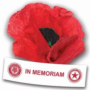 Meet your Posher, Dorothy